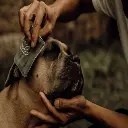 1826285-47d6743e0b064a_1.webp
