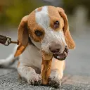 olivier_720x.webp
