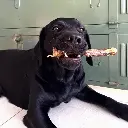 pipper-cou-doie.webp