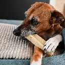 roksy-leo-cheesebone.webp