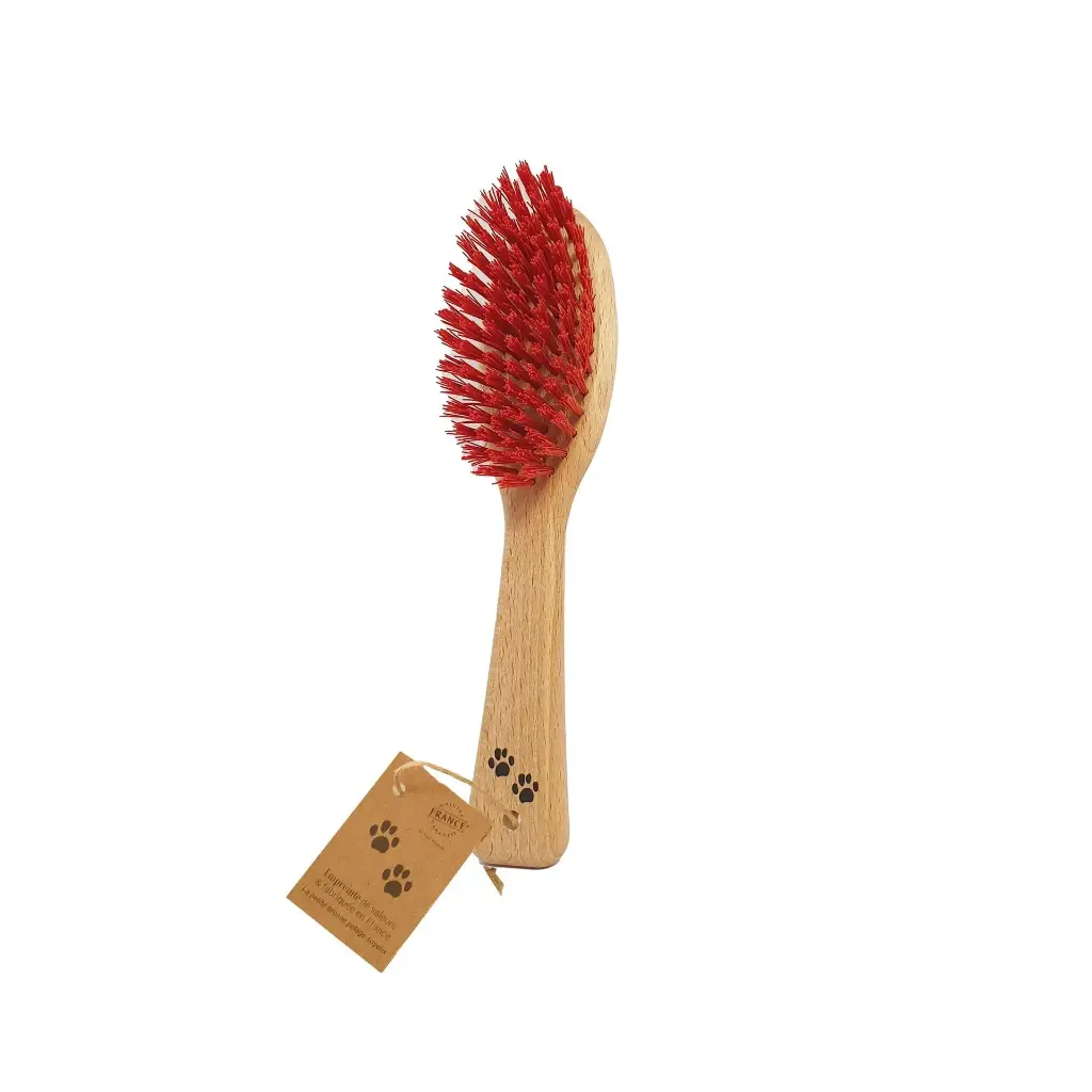 Petite brosse en bois