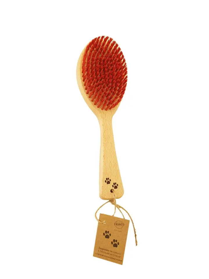 Grande brosse en bois