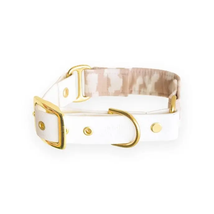 Collier pour chiens
