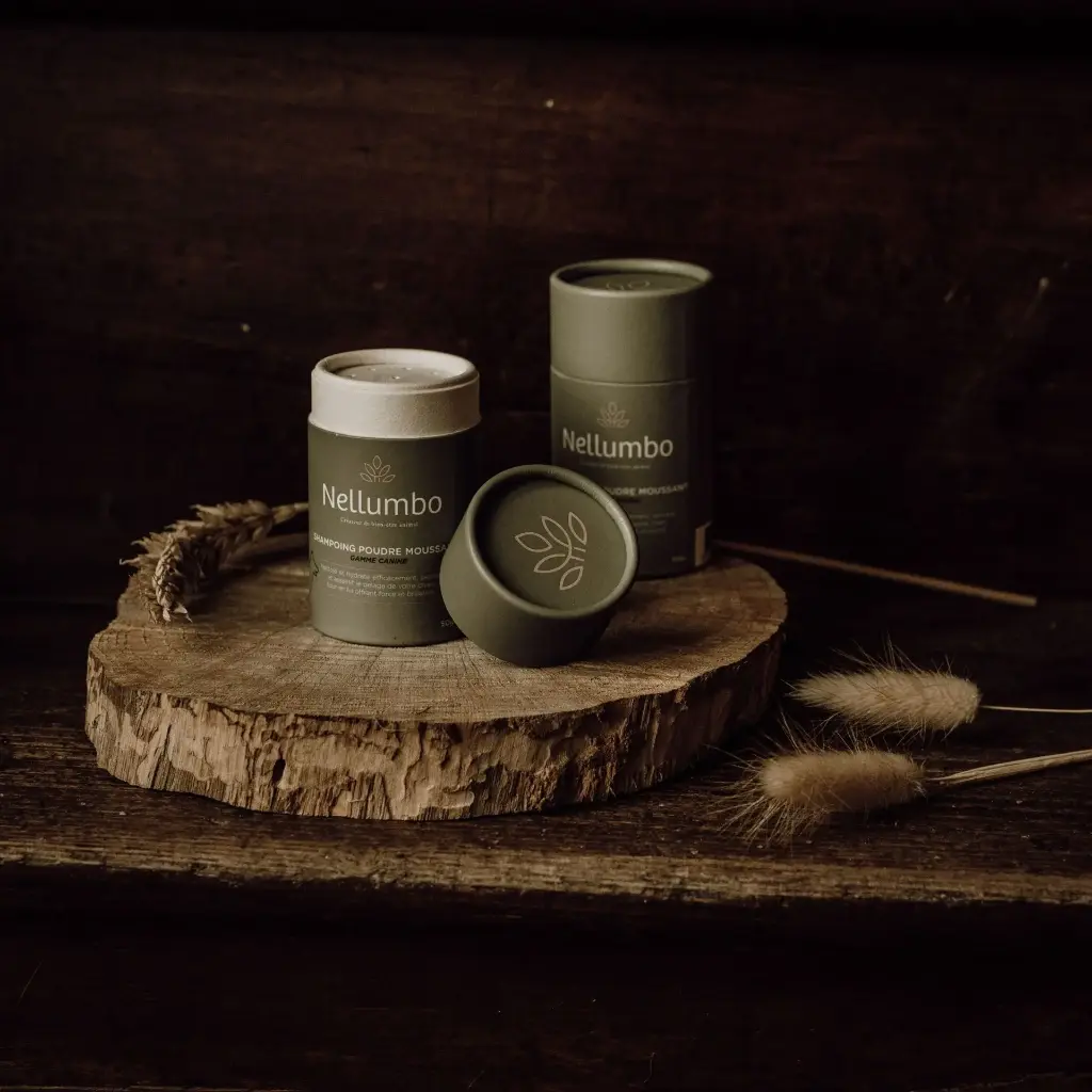 Shampoing en Poudre Moussante