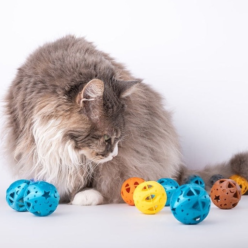Balle pour chat